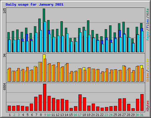 Daily usage for January 2021