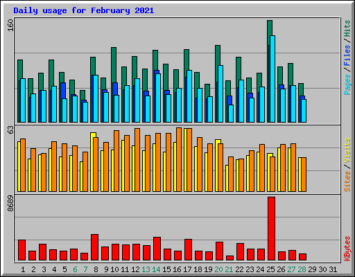 Daily usage for February 2021
