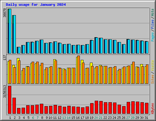 Daily usage for January 2024