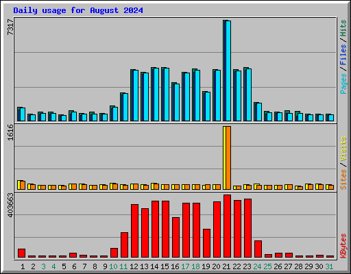 Daily usage for August 2024