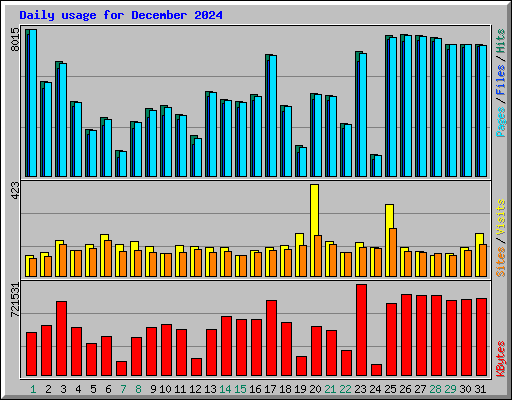 Daily usage for December 2024