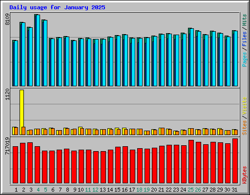Daily usage for January 2025