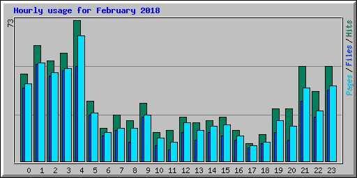 Hourly usage for February 2018