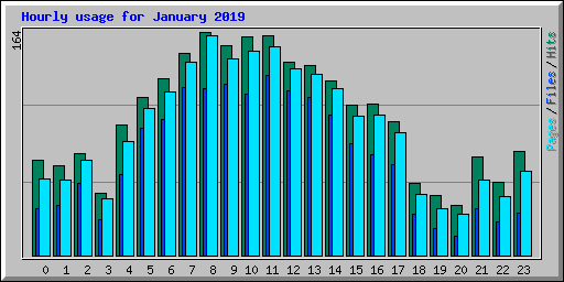 Hourly usage for January 2019