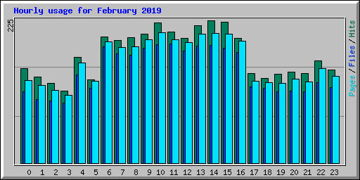 Hourly usage for February 2019