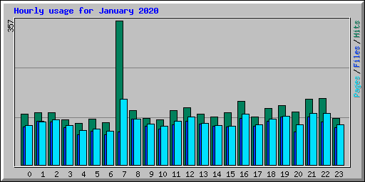 Hourly usage for January 2020