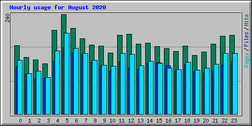 Hourly usage for August 2020