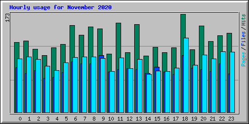 Hourly usage for November 2020