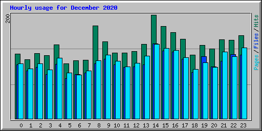 Hourly usage for December 2020