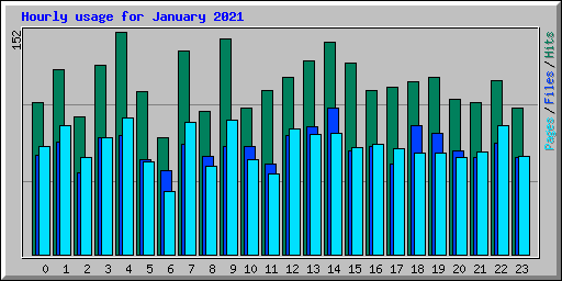 Hourly usage for January 2021