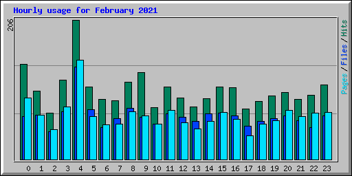 Hourly usage for February 2021