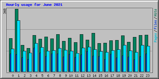 Hourly usage for June 2021