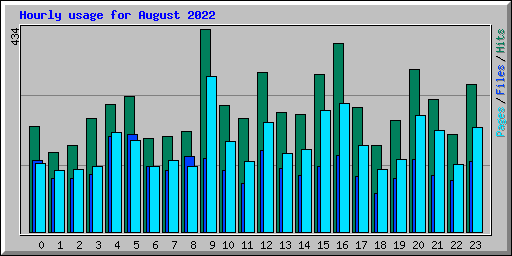 Hourly usage for August 2022