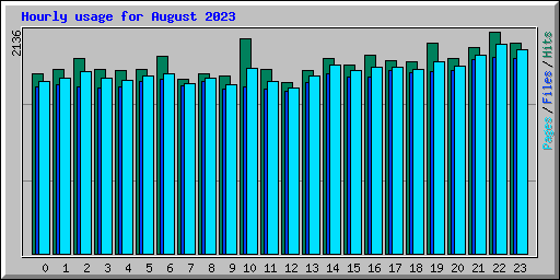 Hourly usage for August 2023