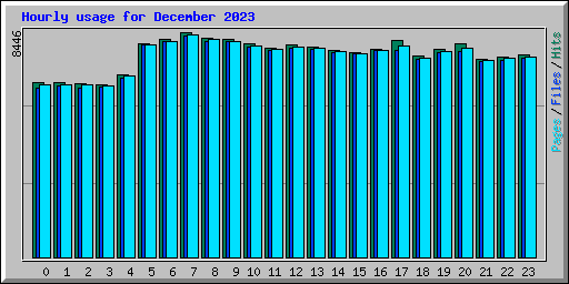 Hourly usage for December 2023