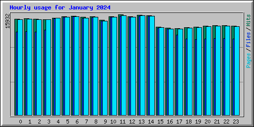 Hourly usage for January 2024
