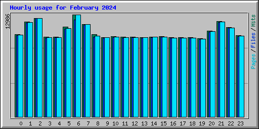 Hourly usage for February 2024
