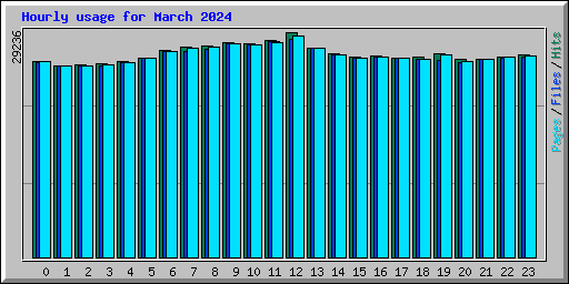 Hourly usage for March 2024