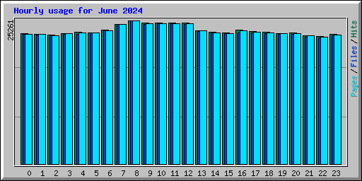 Hourly usage for June 2024