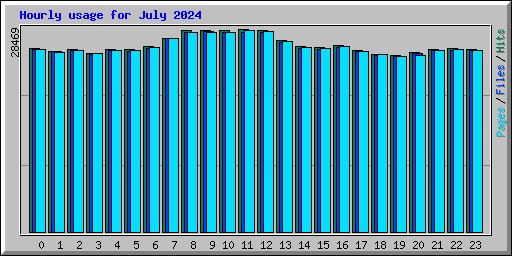 Hourly usage for July 2024