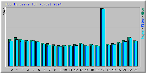 Hourly usage for August 2024