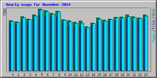 Hourly usage for November 2024