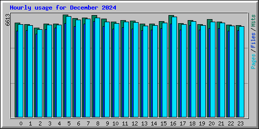 Hourly usage for December 2024