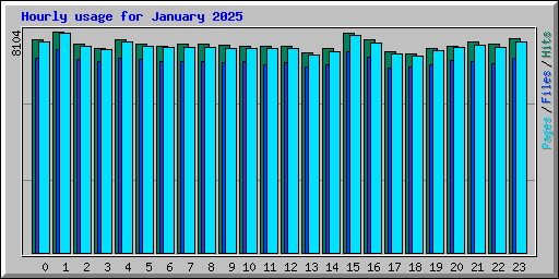 Hourly usage for January 2025