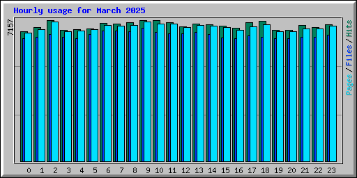Hourly usage for March 2025