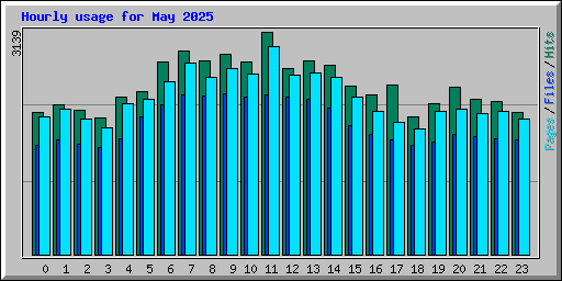 Hourly usage for May 2025