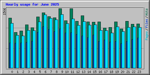 Hourly usage for June 2025