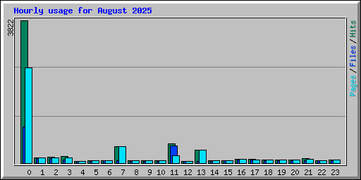 Hourly usage for August 2025