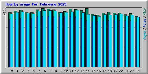 Hourly usage for February 2025