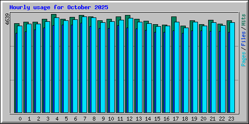 Hourly usage for October 2025