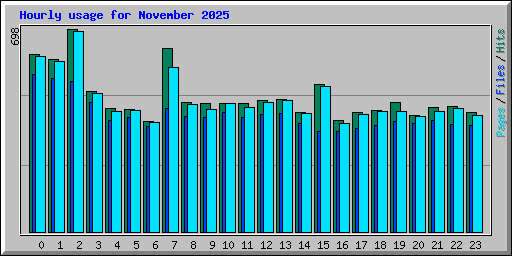 Hourly usage for November 2025