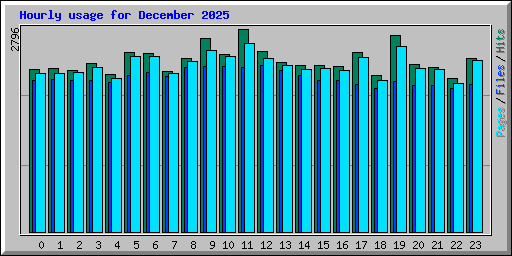 Hourly usage for December 2025