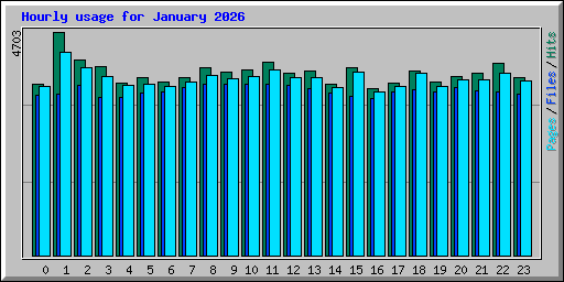 Hourly usage for January 2026
