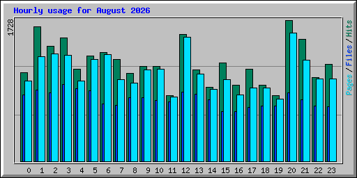 Hourly usage for August 2026